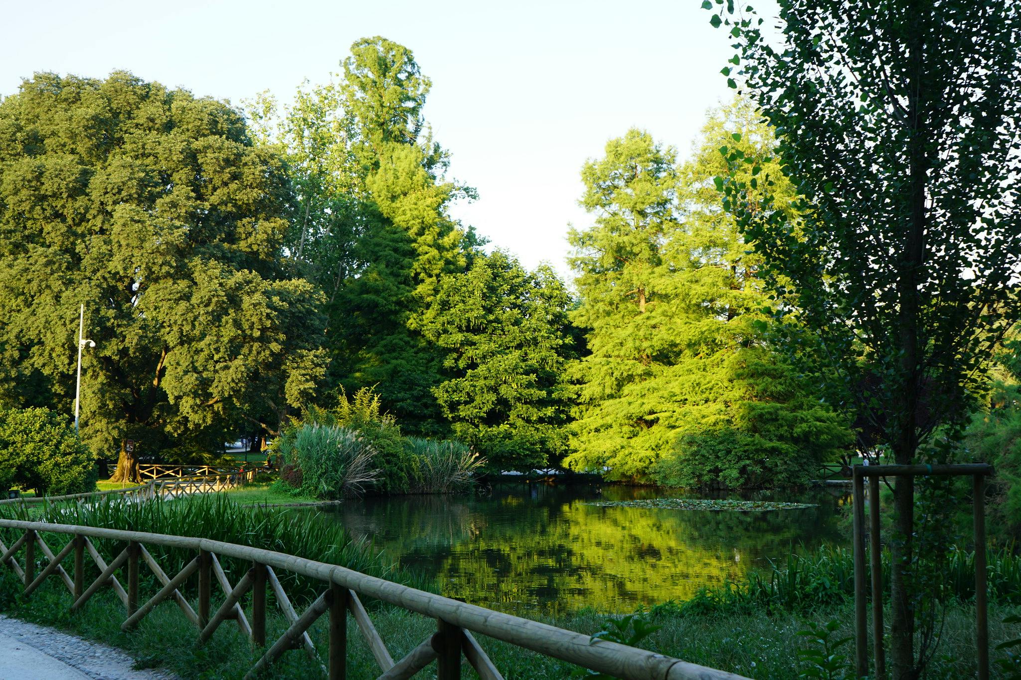 Lummiga gröna träd och växter som omger en fridfull damm, med ett trästaket som kantar en stig i förgrunden.