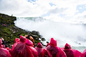 Excursions à la journée