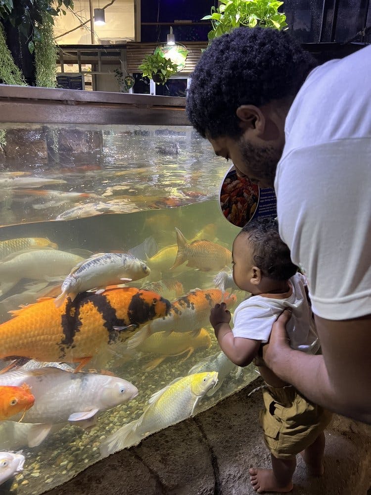 Un home sosté un nen mentre tots dos miren els colorits peixos koi en un aquari.