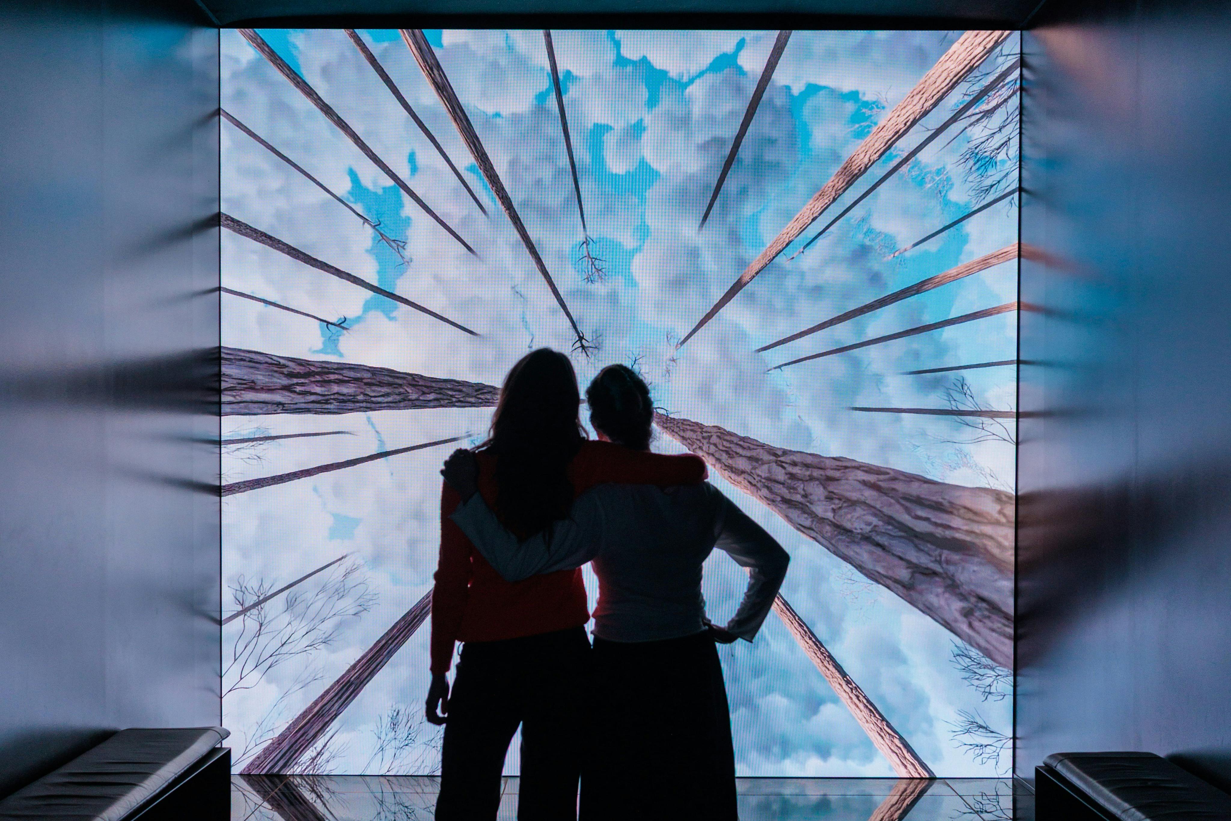 Two people stand silhouetted against a screen displaying tall trees and a cloudy sky, viewed from below.