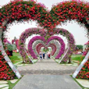 Dubai Butterfly Garden