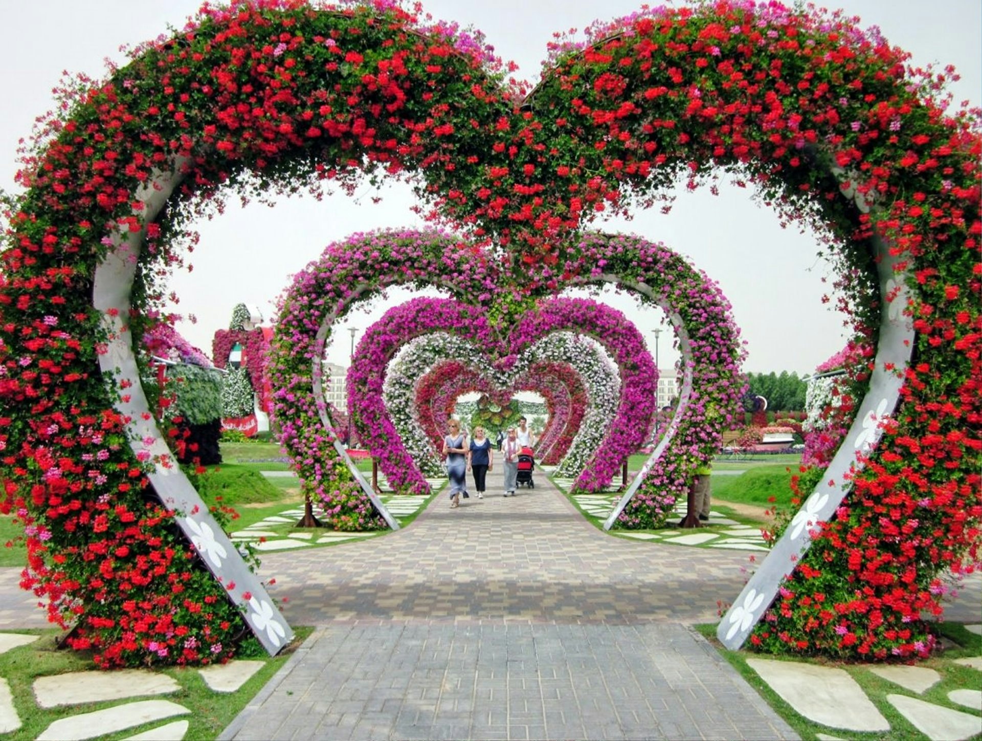Сами красивая цвети. Миракл Гарден Дубай. Миракл Гарден парк цветов Дубай 2021. Парк цветов в Дубае. Дубайская арка парк.