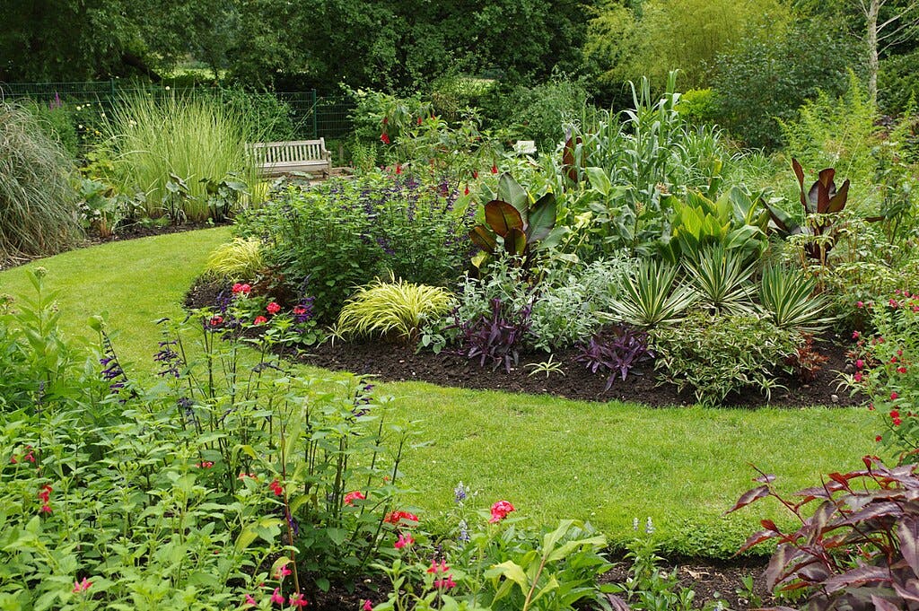 Un giardino lussureggiante con varie piante e fiori, un sentiero verde curvo e una panchina di legno sullo sfondo.