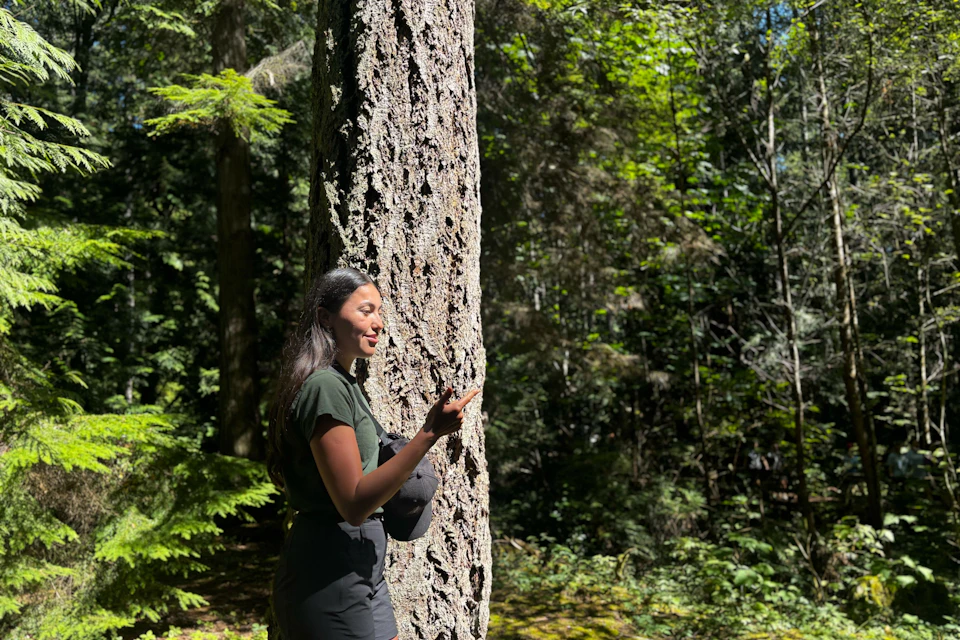 A person stands in a forest, touching the trunk of a tree, surrounded by sunlight and dense greenery.