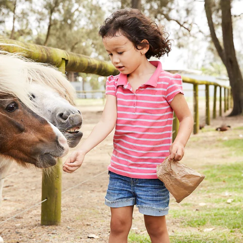 Oakvale Wildlife Park: Entry Ticket - Photo 3