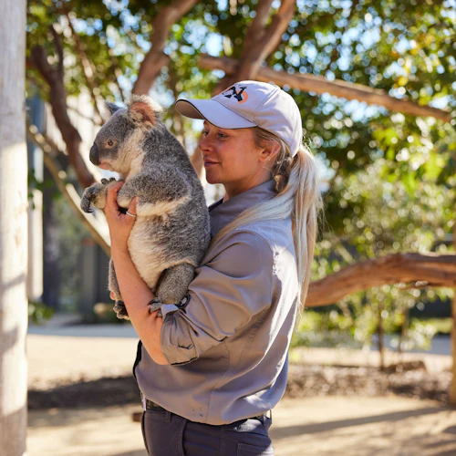 Blue Mountains & Sydney Zoo: Small-Group Guided Tour from Sydney - Photo 16