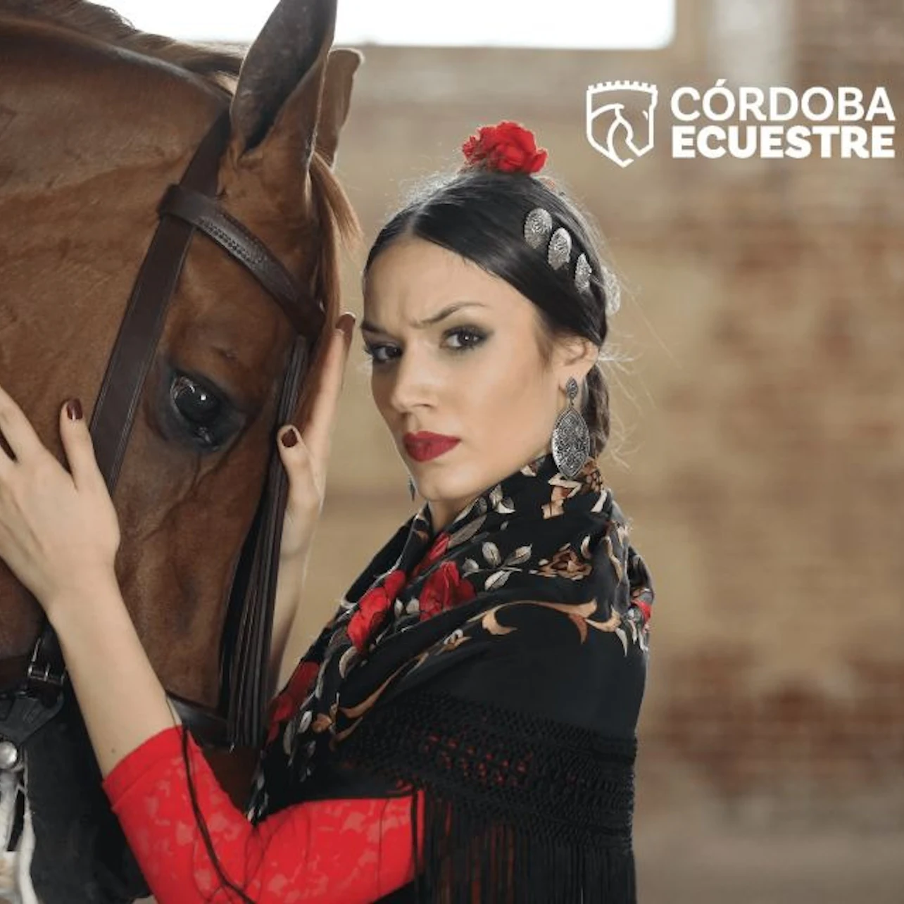 Equestrian Show