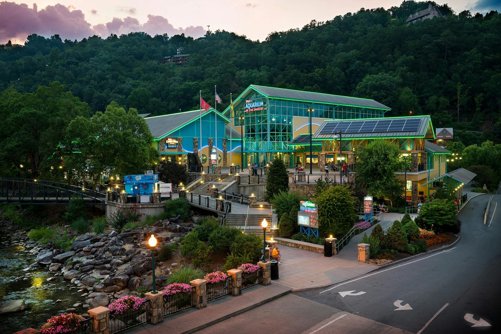 Ripley 's Aquarium of the Smokies συν δύο ή τρία επιπλέον αξιοθέατα