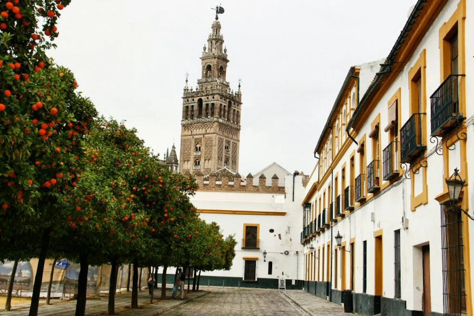 Patio de los Naranjos with the Giralda on the horizon.