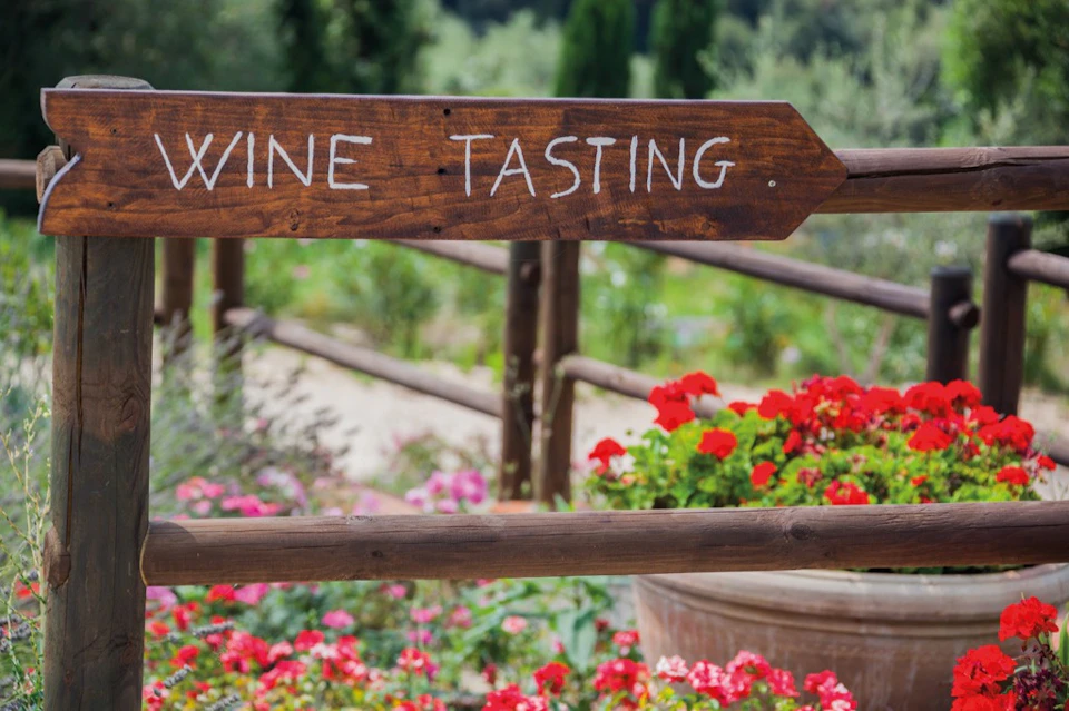 wine tasting