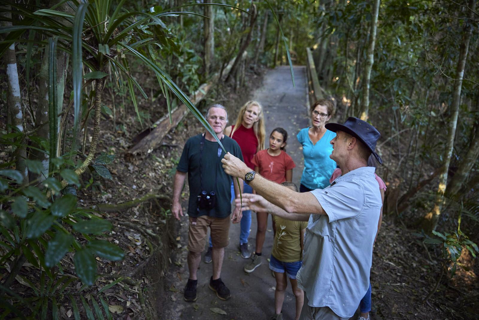 ガイドが、木々と木製の歩道を背景にした森のトレイルで、人々に植物を紹介しています。