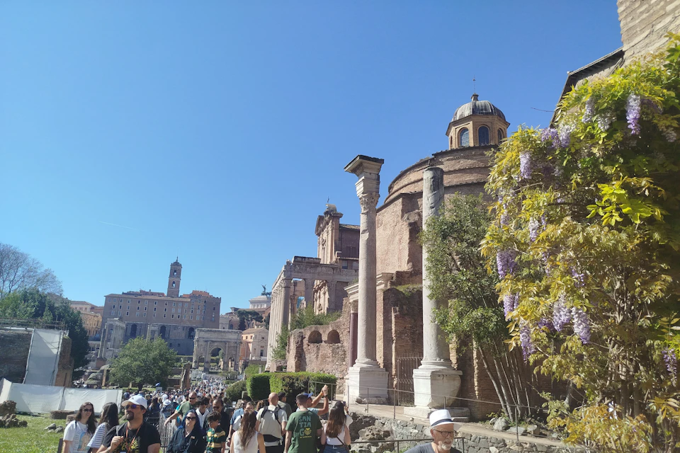 A view of Roman ruins with columns, a domed structure, and blooming wisteria, under a clear blue sky with tourists walking.