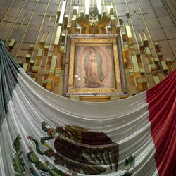 Basilica of Guadalupe: Skip The Line & Guided Tour 2