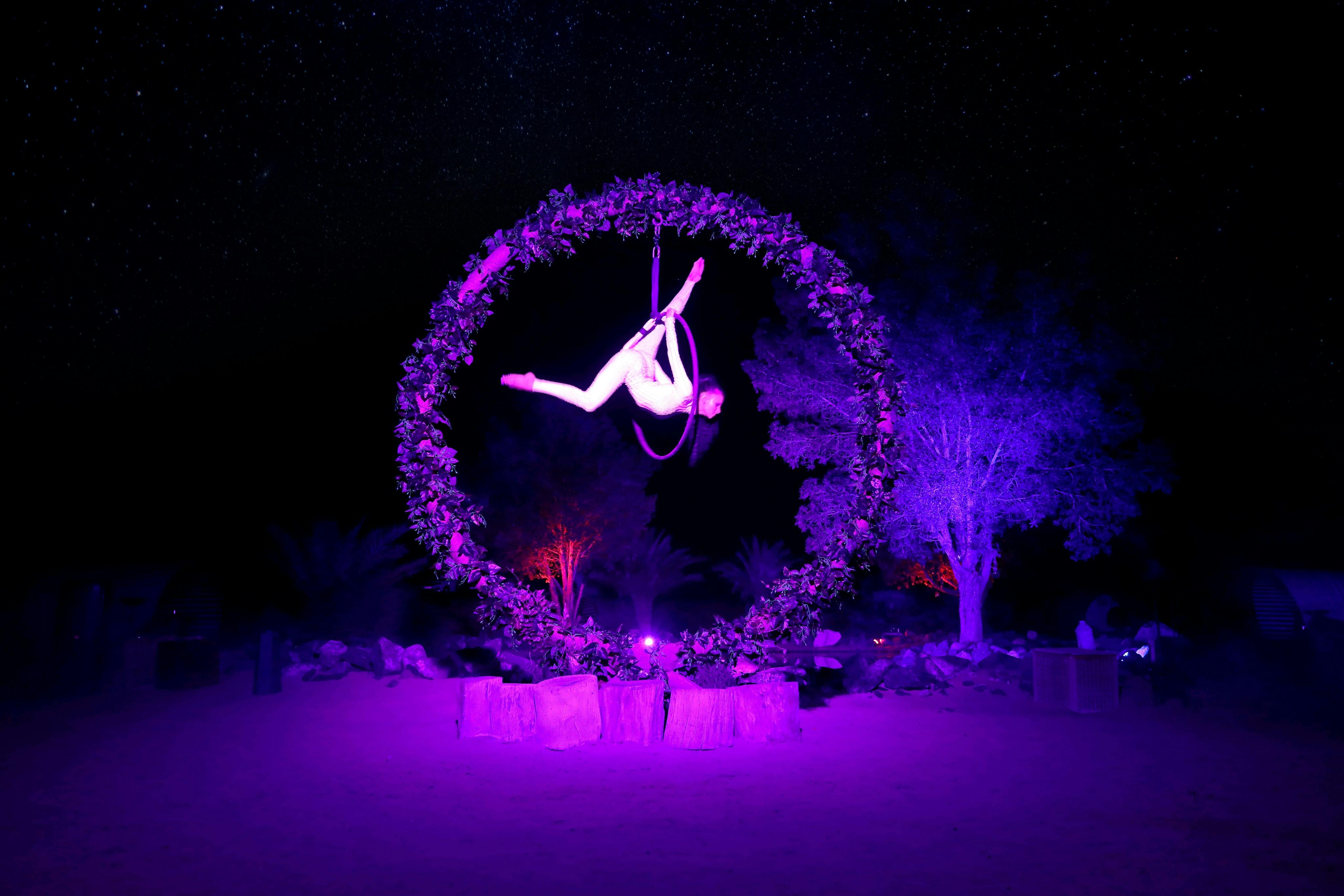 Dubai: Guided Luxury Desert Safari + Falconry Show + Dinner + Transfers - Photo 7