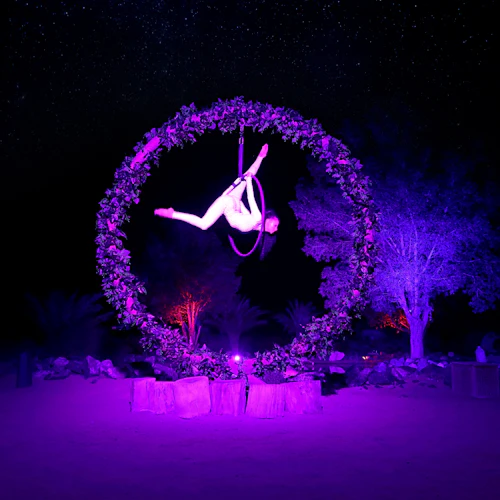 Dubai: Guided Luxury Desert Safari + Falconry Show + Dinner + Transfers - Photo 7
