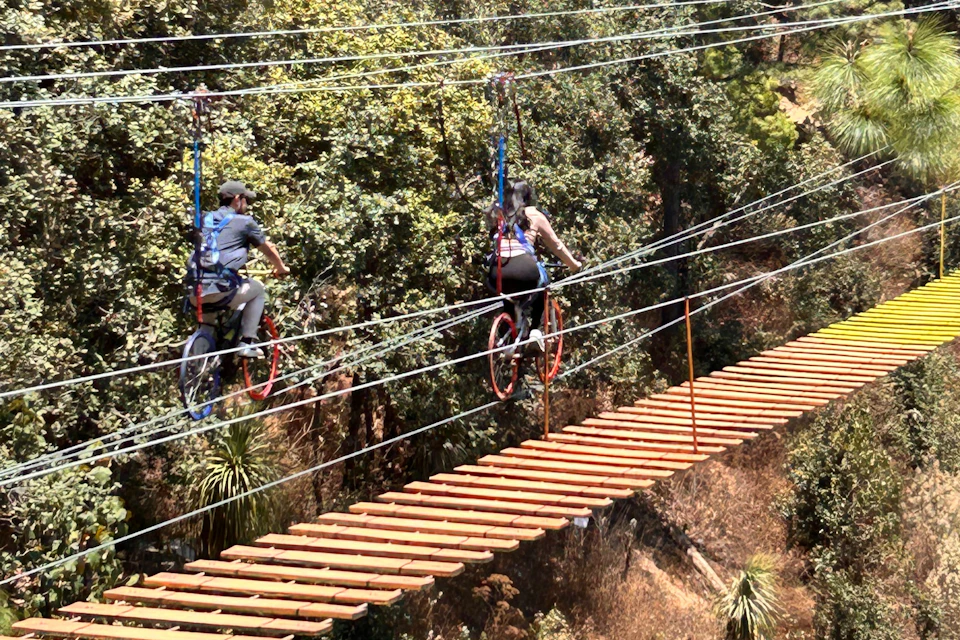 Two people riding bicycles suspended on cables in a forested adventure park setting, next to a suspended wooden bridge.