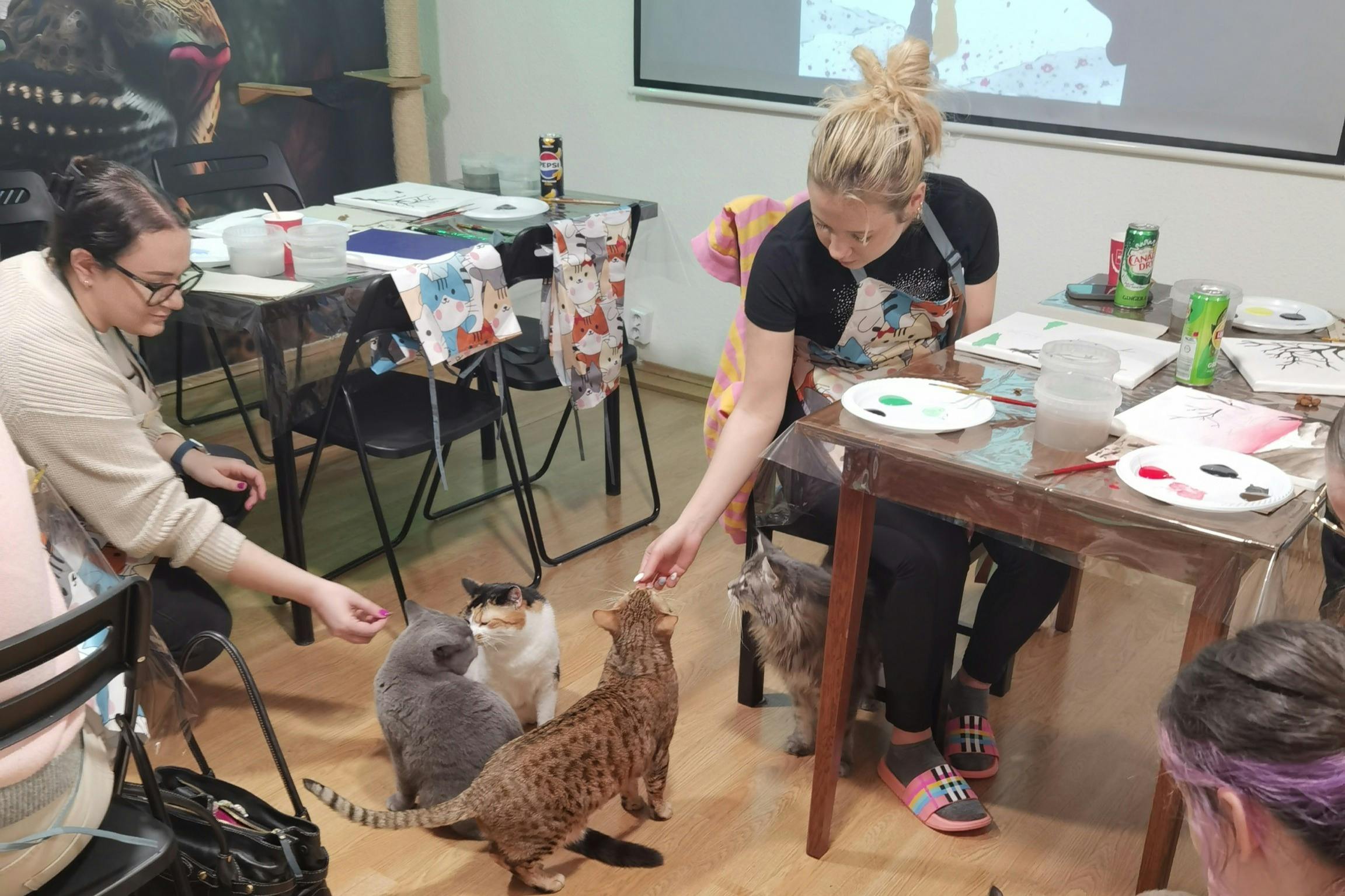 Malerværksted med kattematik i akryl