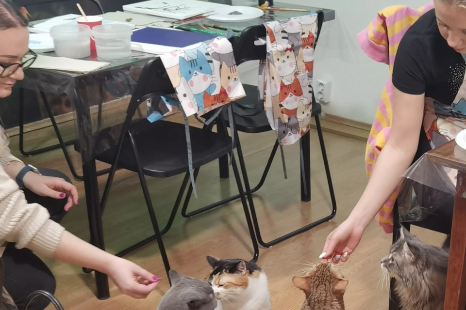 Acrylic cat-themed painting workshop