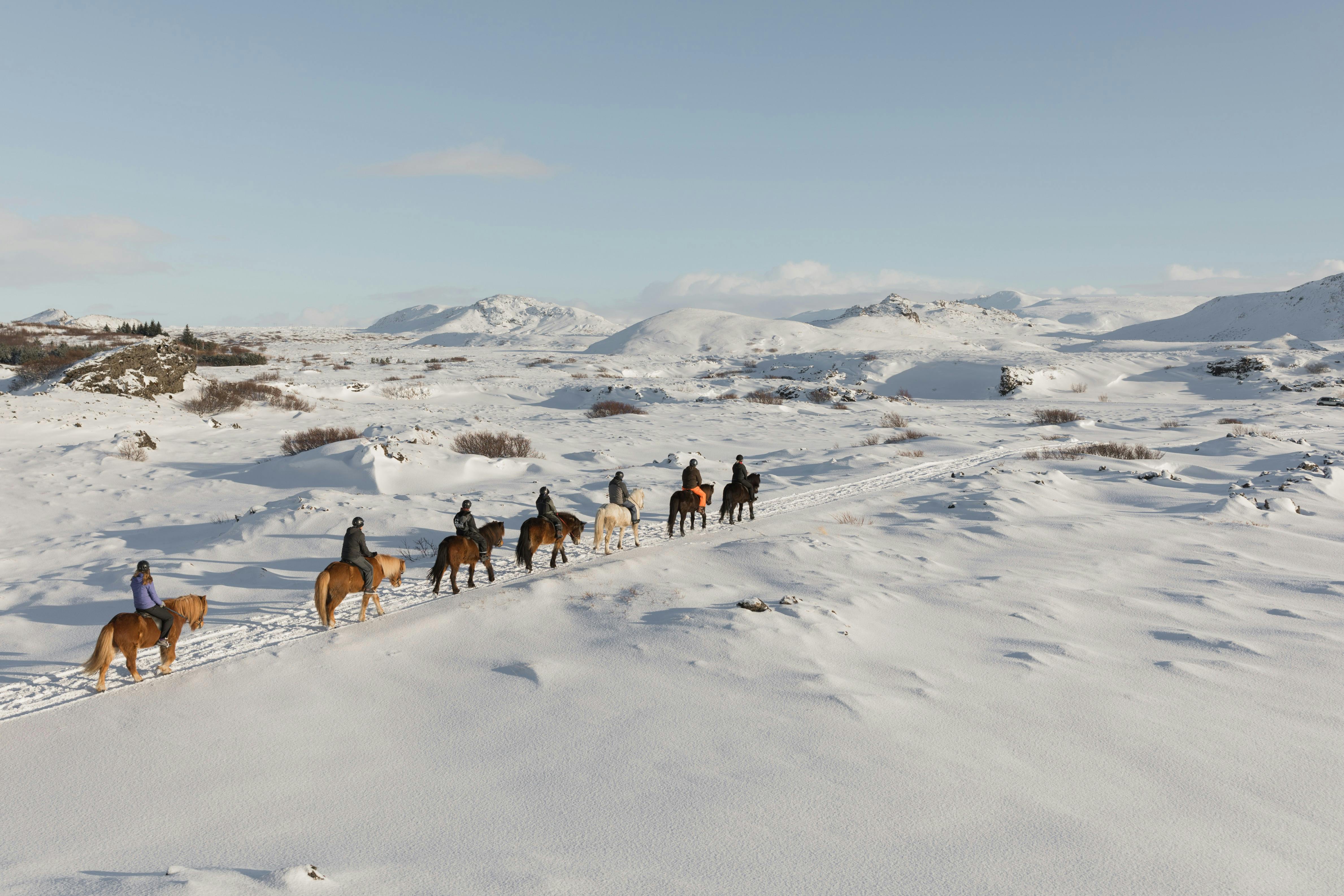 A group of people riding horses on a snowy, mountainous trail under a clear blue sky.