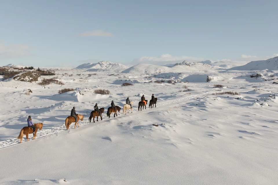 A group of people riding horses on a snowy, mountainous trail under a clear blue sky.