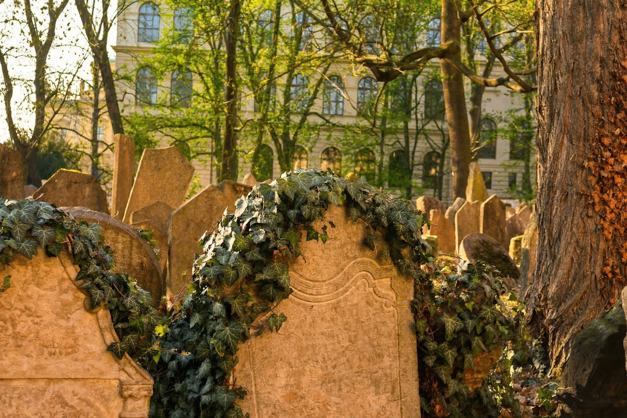 Bairro Judeu de Praga: bilhete de entrada + introdução guiada + audioguia opcional