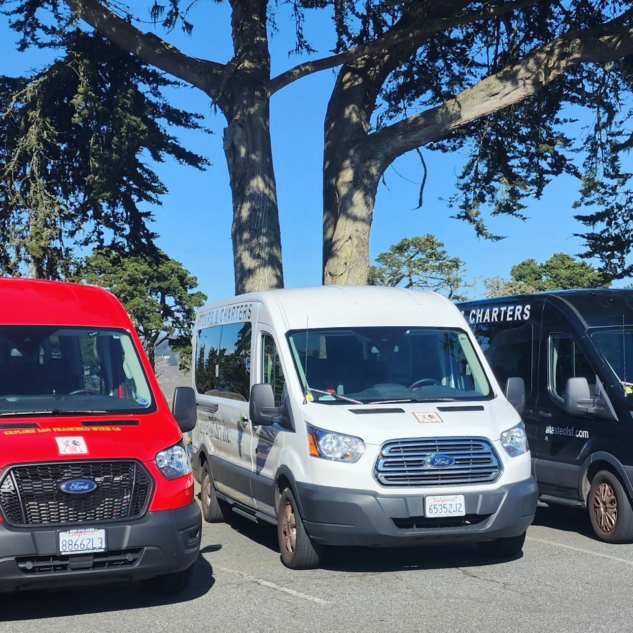 Tour mattutino di Muir Woods e Sausalito da San Francisco - Alloggi in San Francisco
