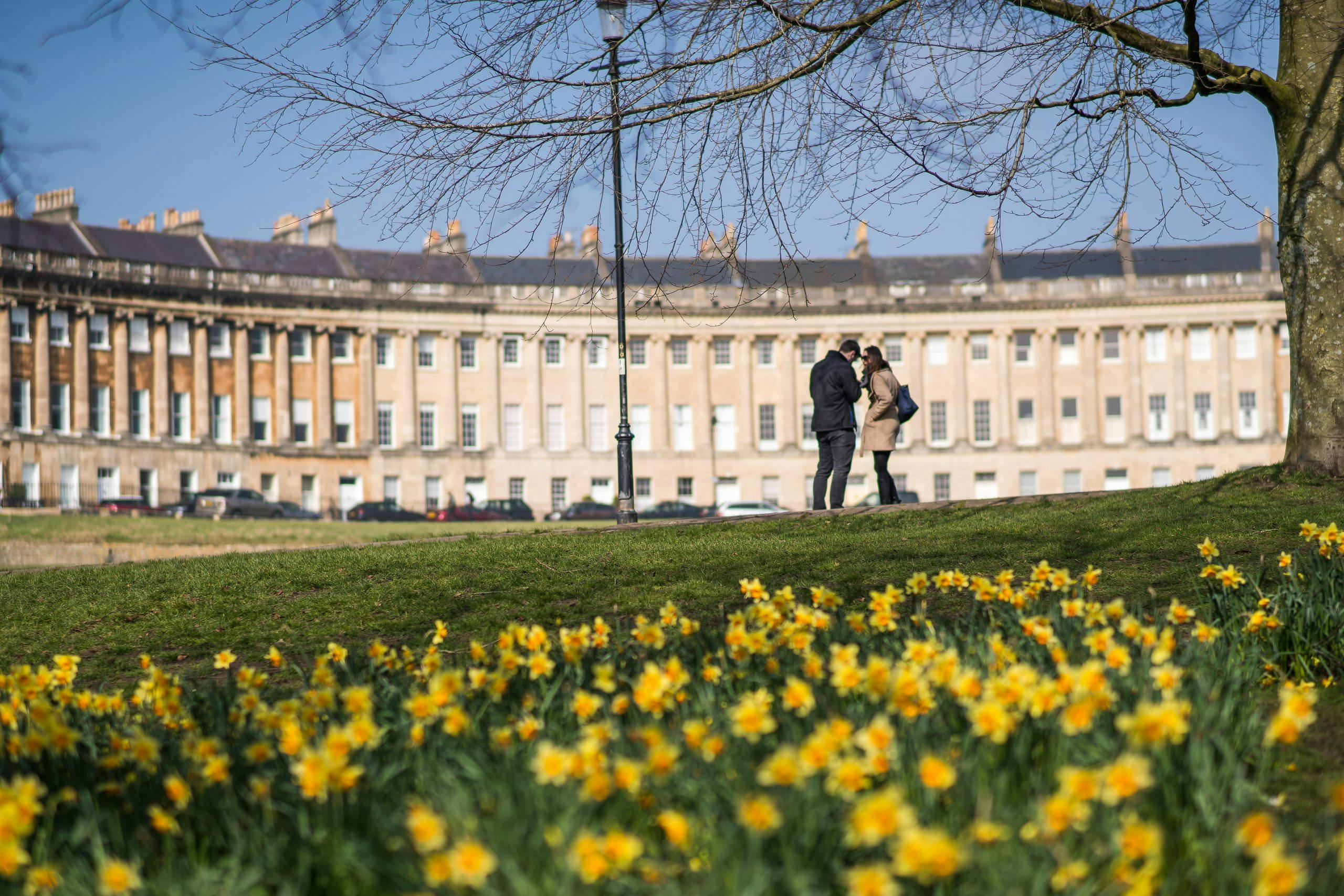 Three people stand on a grassy hill with blooming yellow flowers in the foreground, and historic row houses in the background.