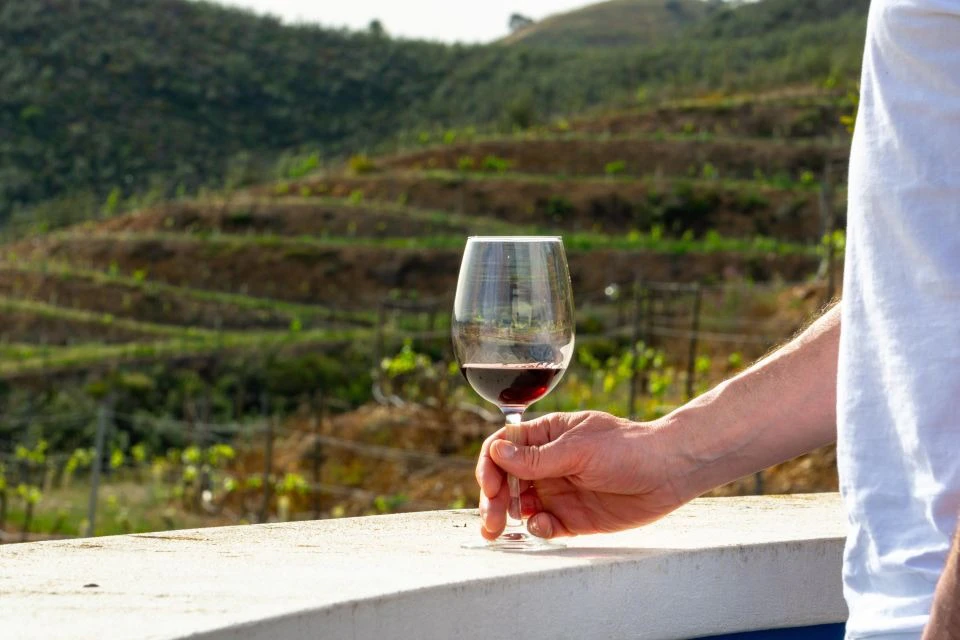 Wine Tour