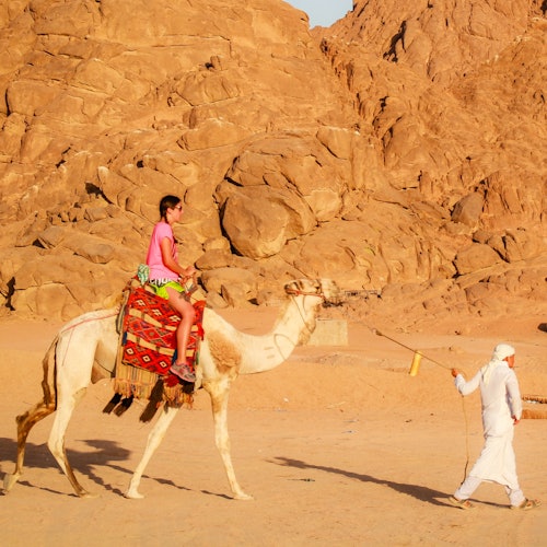 Safari por el desierto en camello y quad desde Sharm el-Sheij + Cena