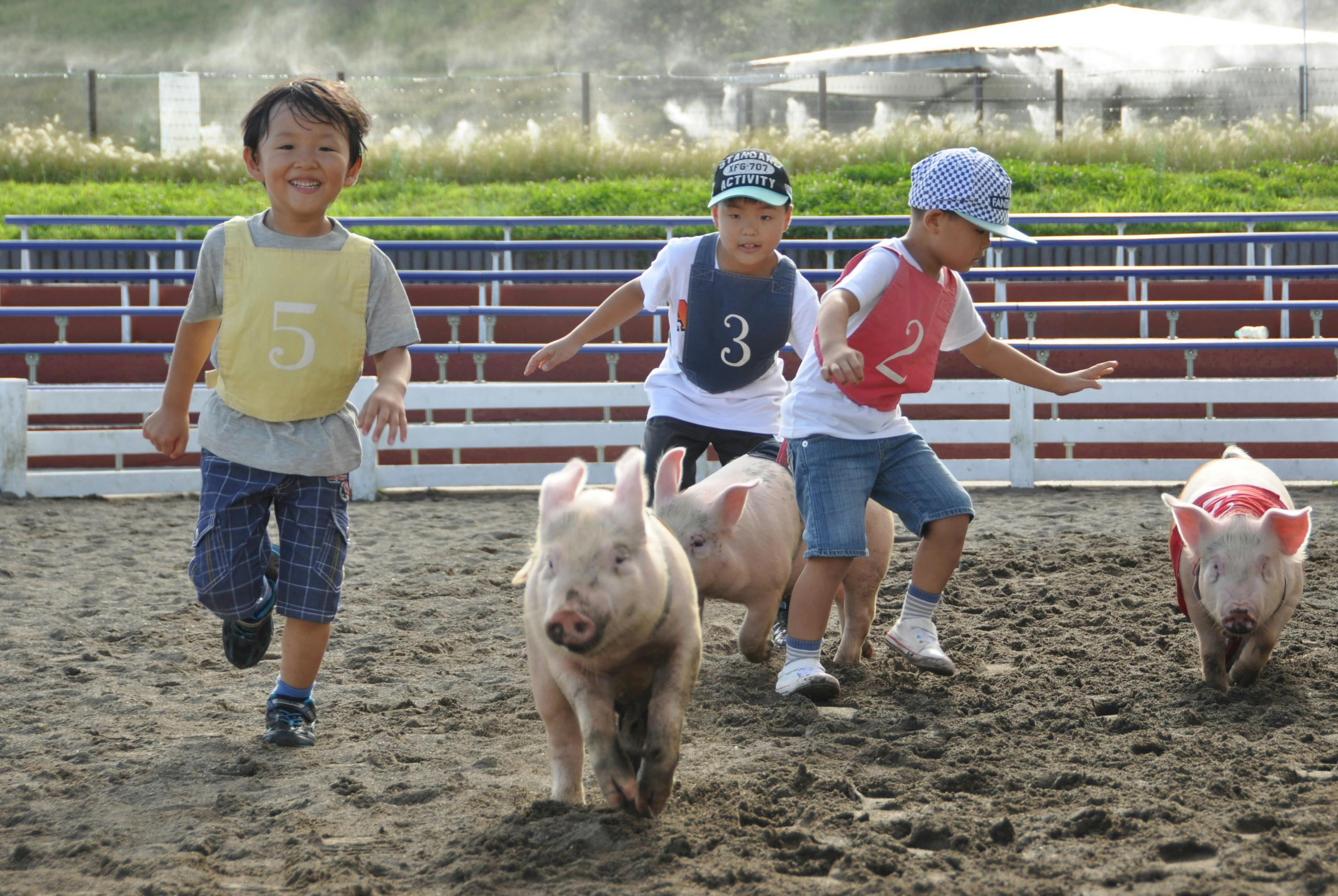 Children wearing numbered bibs run alongside piglets on a dirt track, smiling and enjoying the activity.