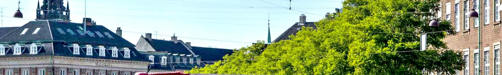 Stromma Kopenhagen: Hop-on-Hop-off-Bustouren