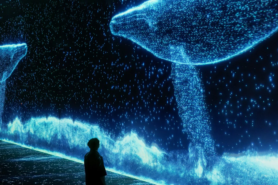 A person stands in front of a large digital display showing a glowing, blue holographic whale in a starry, ethereal scene.