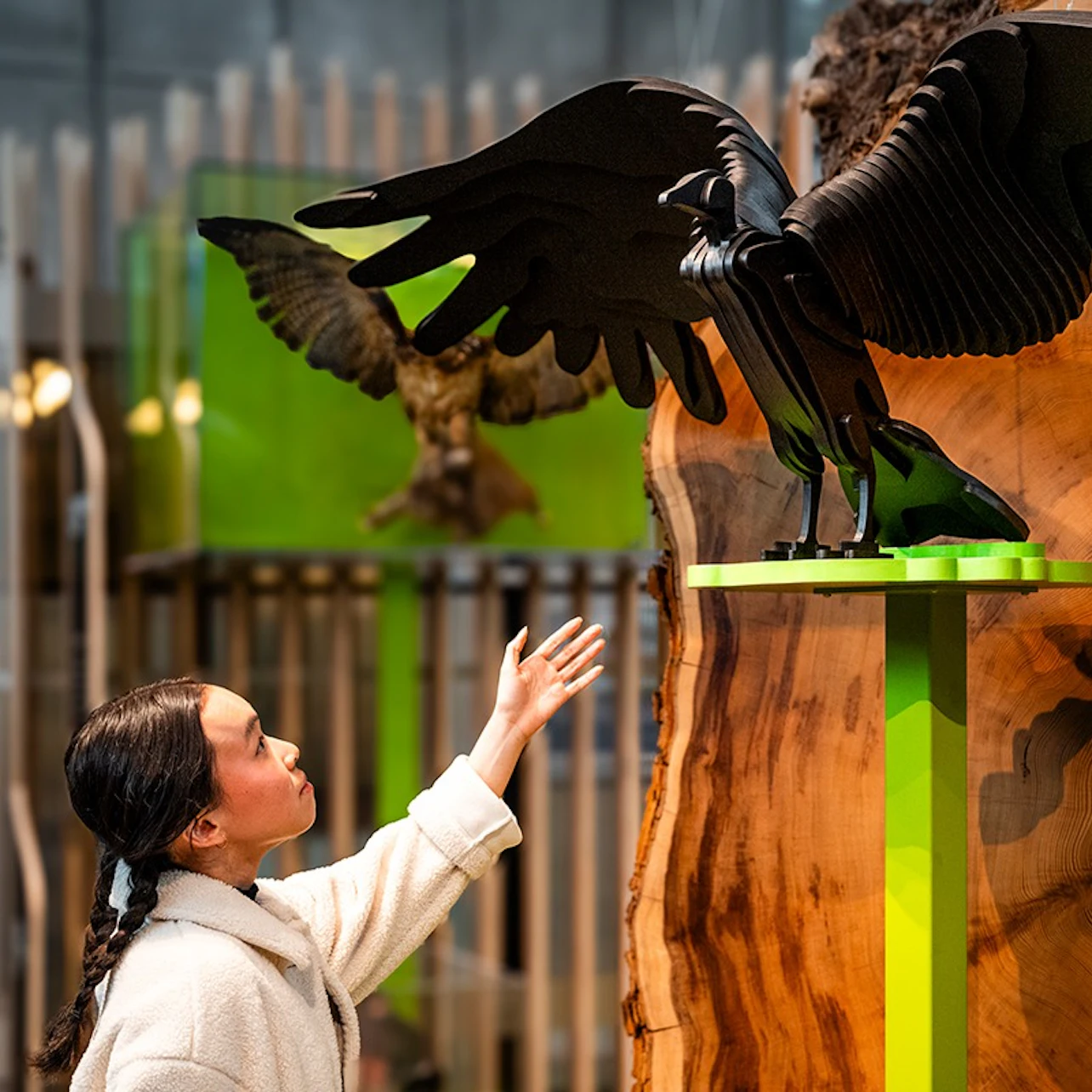 California Academy of Sciences: Entry Ticket in San Francisco β Tiqets