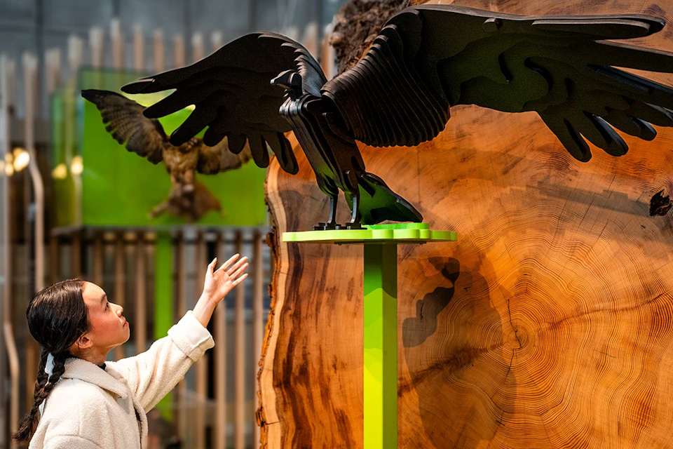 Visitor interacting with new exhibit, California: State of Nature.