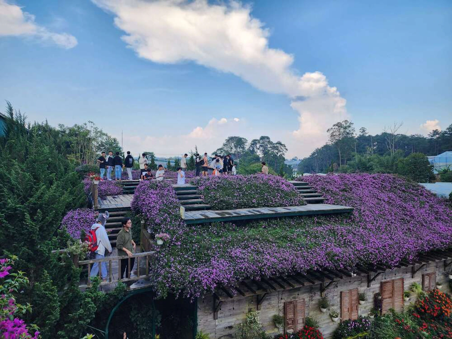 A scenic view of a wooden structure covered with purple flowers, with people standing on terraces under a blue sky.