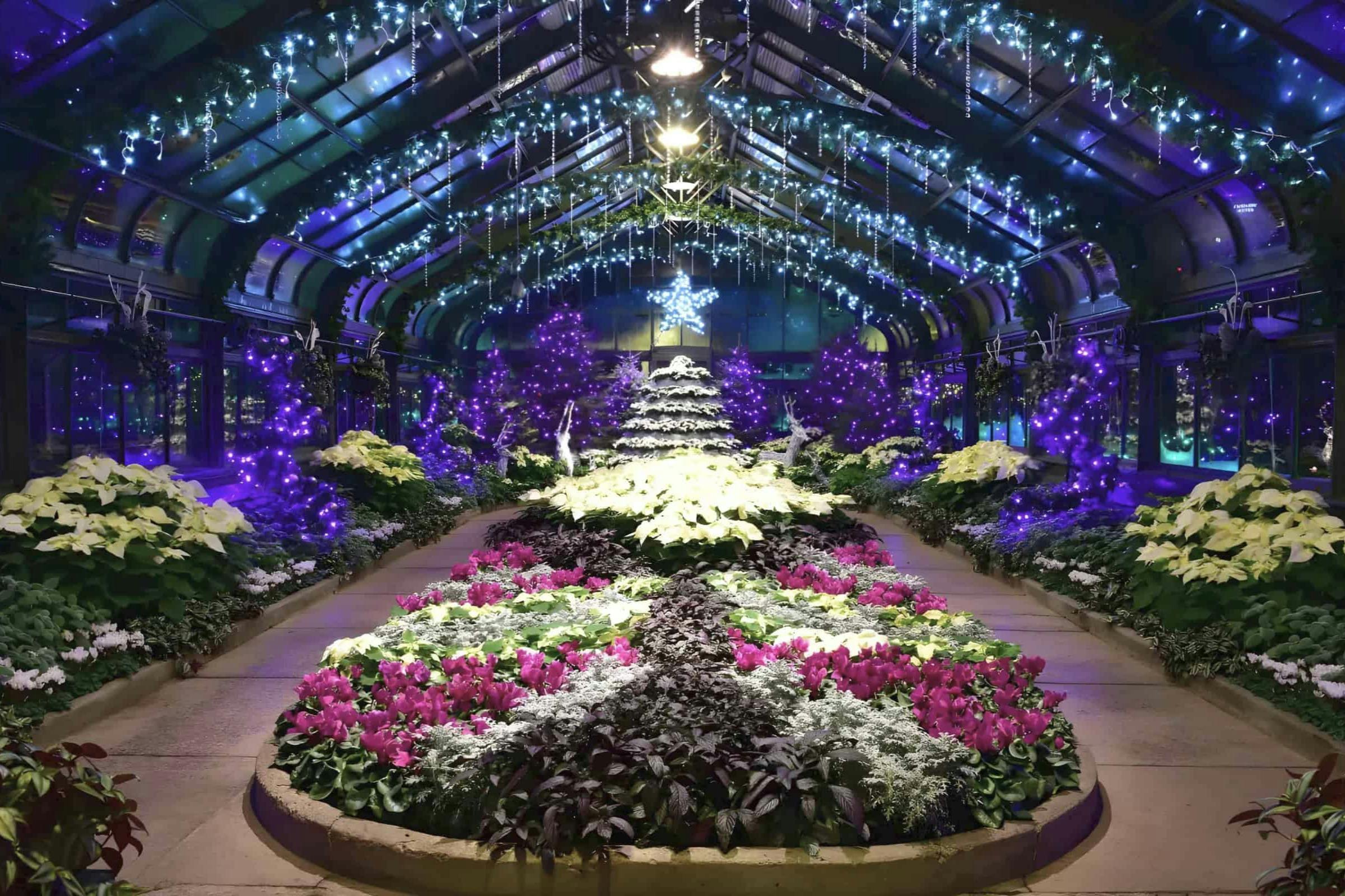 See special winter floral displays