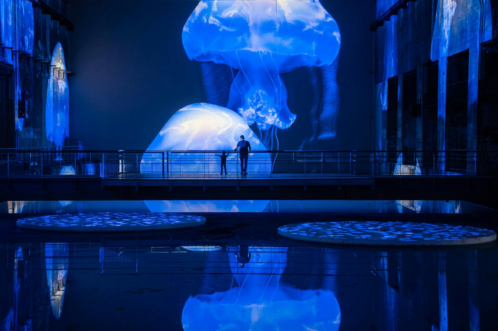 Bacias hidrográficas de Lumières: Exposição sobre o Oceano - Photo 5