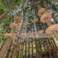 Treetops Adventure - The Hills: Entry Ticket