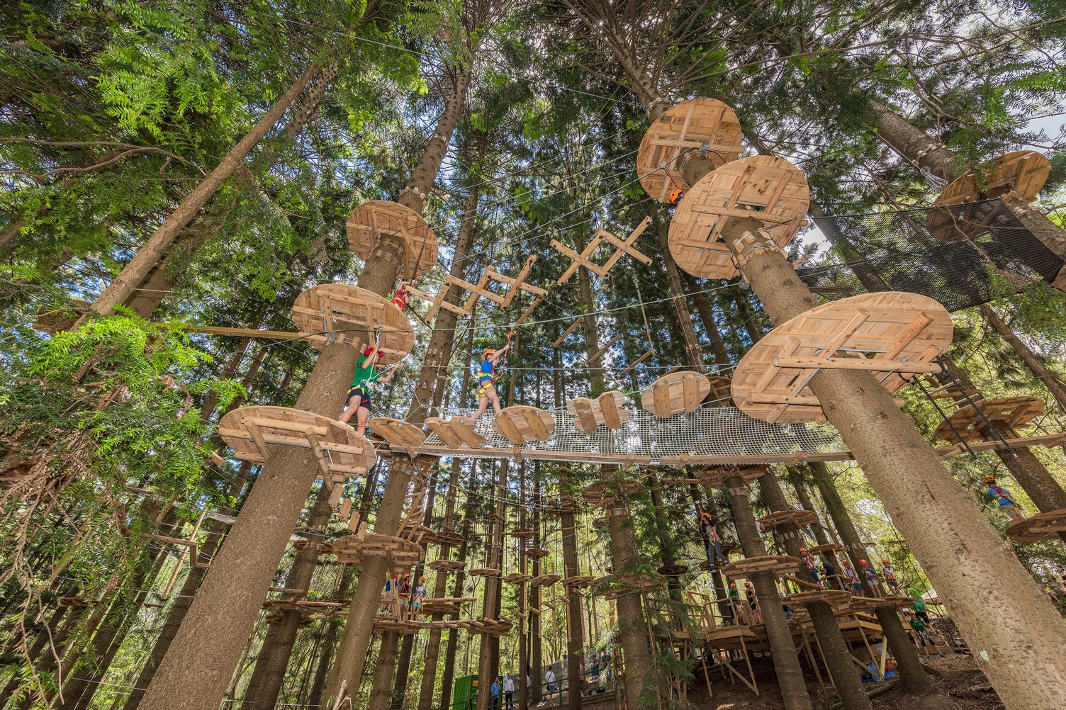 Treetops Adventure - The Hills: Entry Ticket