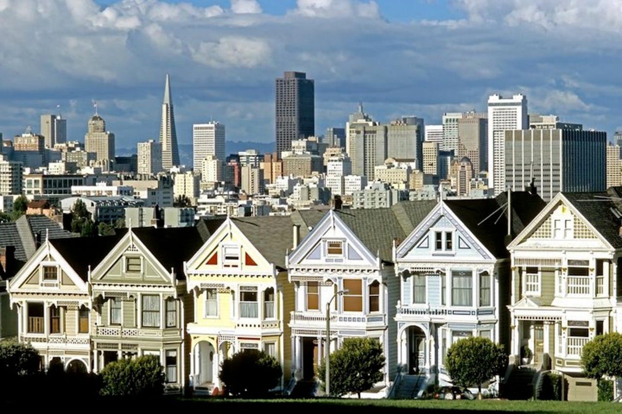 Painted Ladies