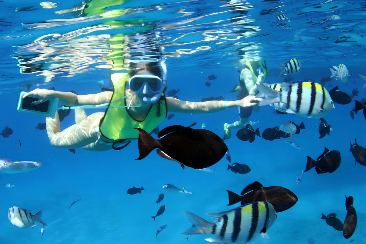 O'ahu: Dolphin Watching Cruise, Zipline, Snorkeling + Lunch & Drinks
