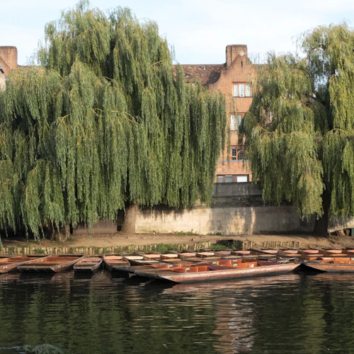 Cambridge University Walking Tour - Photo 4