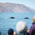 Mergulho de baleias-jubarte