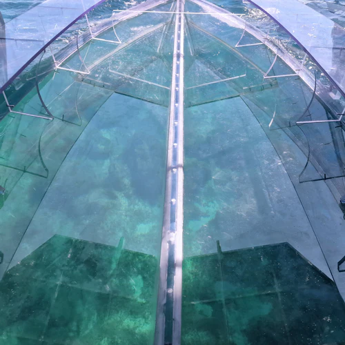 Siracusa: Passeio de barco transparente pelas grutas da costa e do mar + paragem para nadar - Photo 3