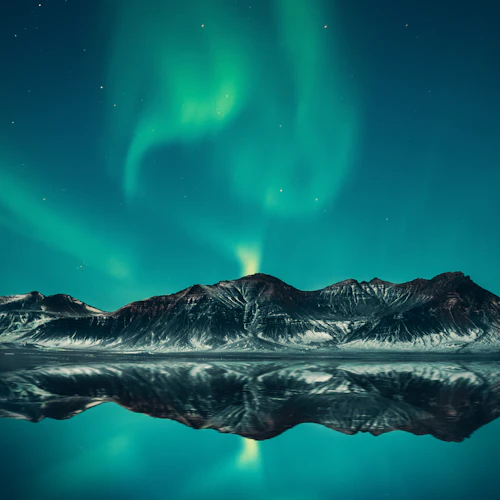 Reykjavík: Northern Lights Bus Tour