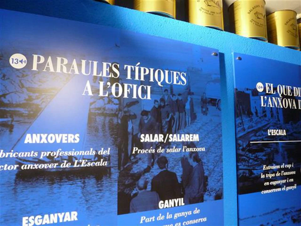 Blue posters with Catalan text and historical photos on a wall. Metal containers are partially visible at the top.