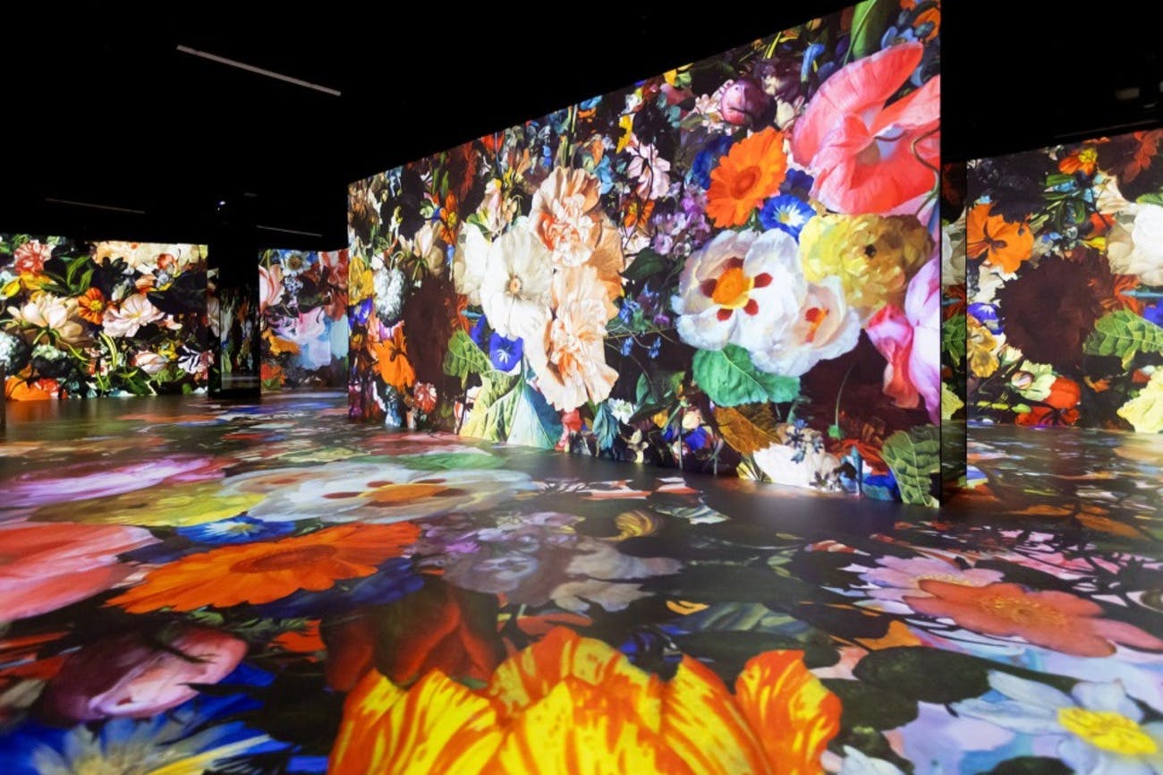 Bright, colorful floral projections cover the walls and floor of a dark room, creating an immersive, vibrant art display.