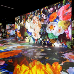 Port des Lumières: From Vermeer to Van Gogh - The Dutch Masters Entry 5