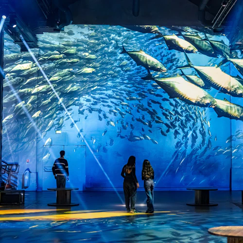 Atelier des Lumières: Exposição «Ocean Planet» - Photo 2