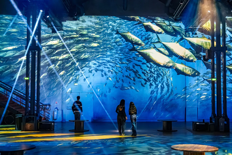 A room with digital projections of a school of fish on the walls, with people standing and observing the immersive display.
